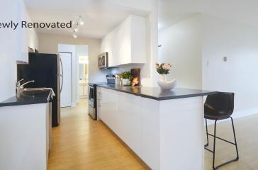 3 Dillam Place Renovated Kitchen Image