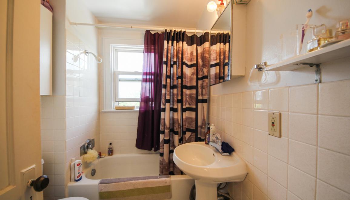 Lutz Street Apartments Bathroom Image