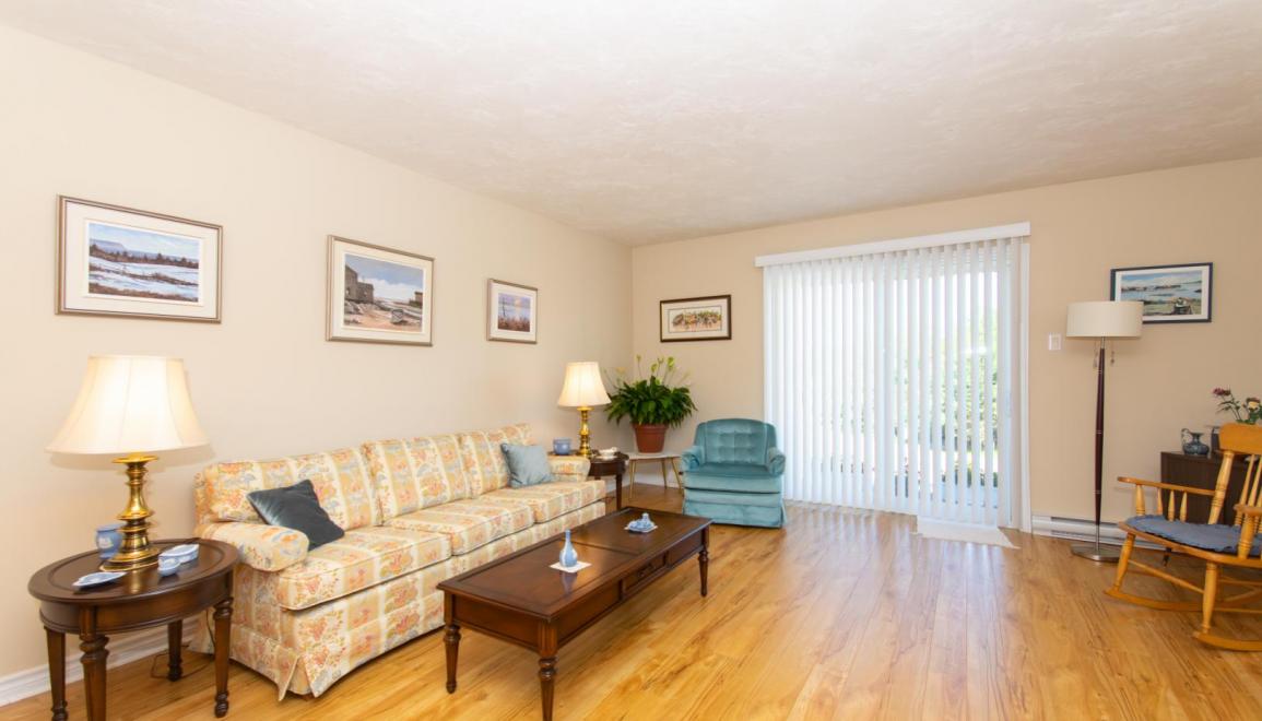 Woodbury Terrace Apartments Living Room Image
