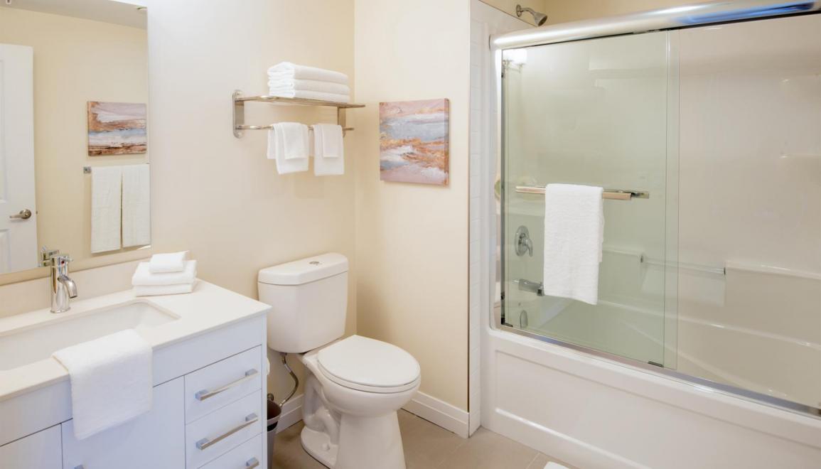 Saginaw Park Apartments Bathroom Image