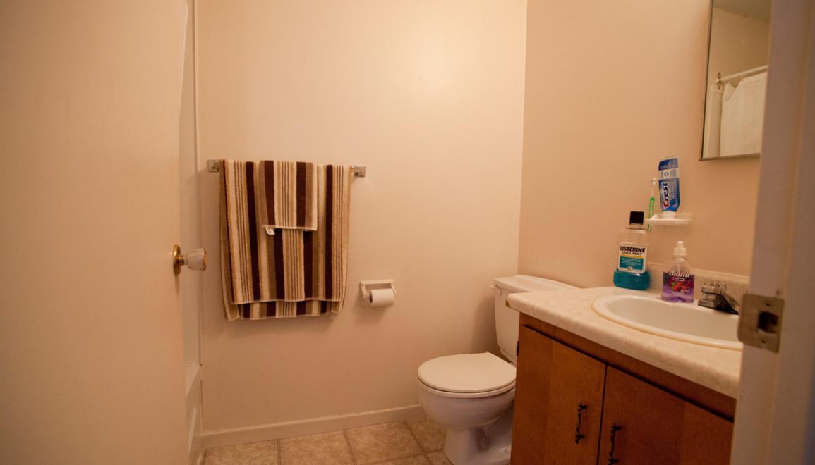 27 Longworth Bathroom Image
