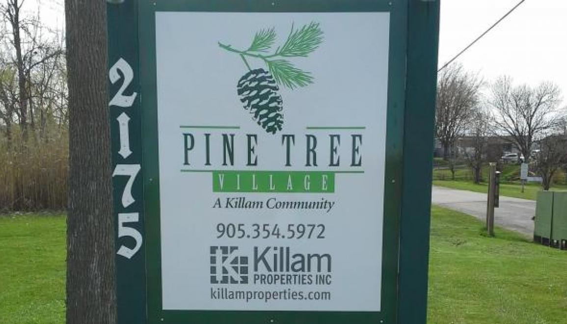 Pine Tree Village Sign