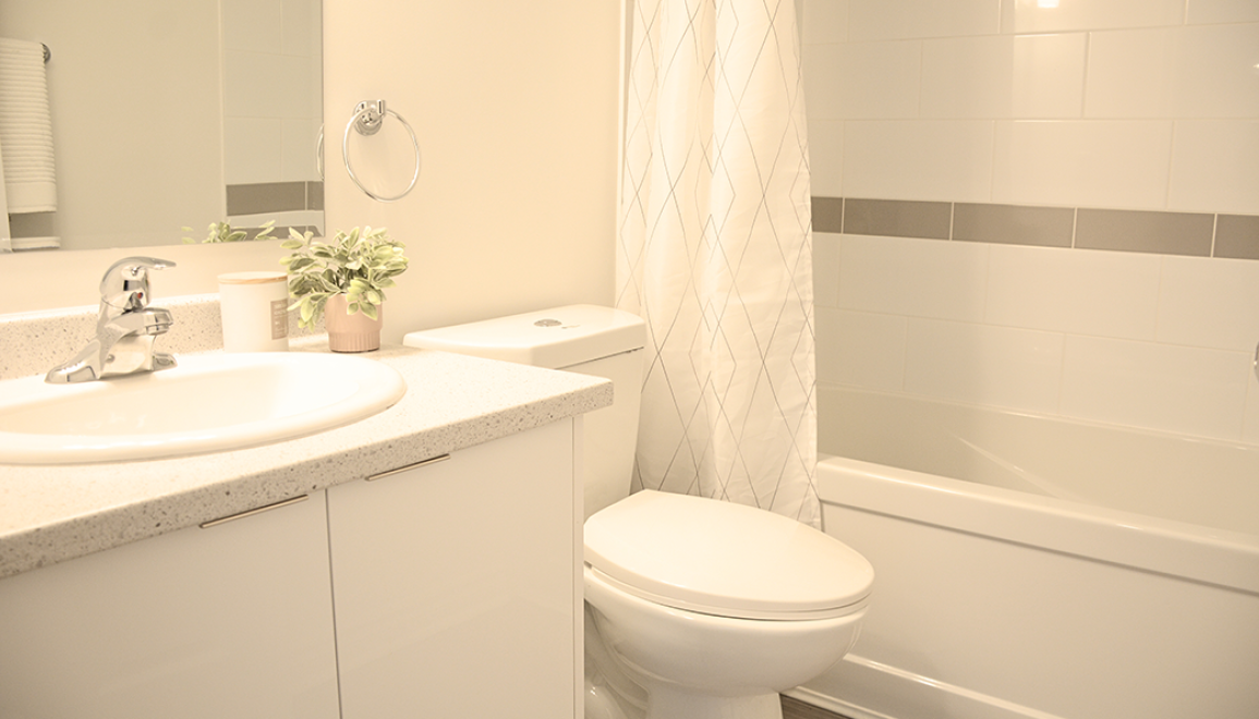 31 Carrington Bathroom