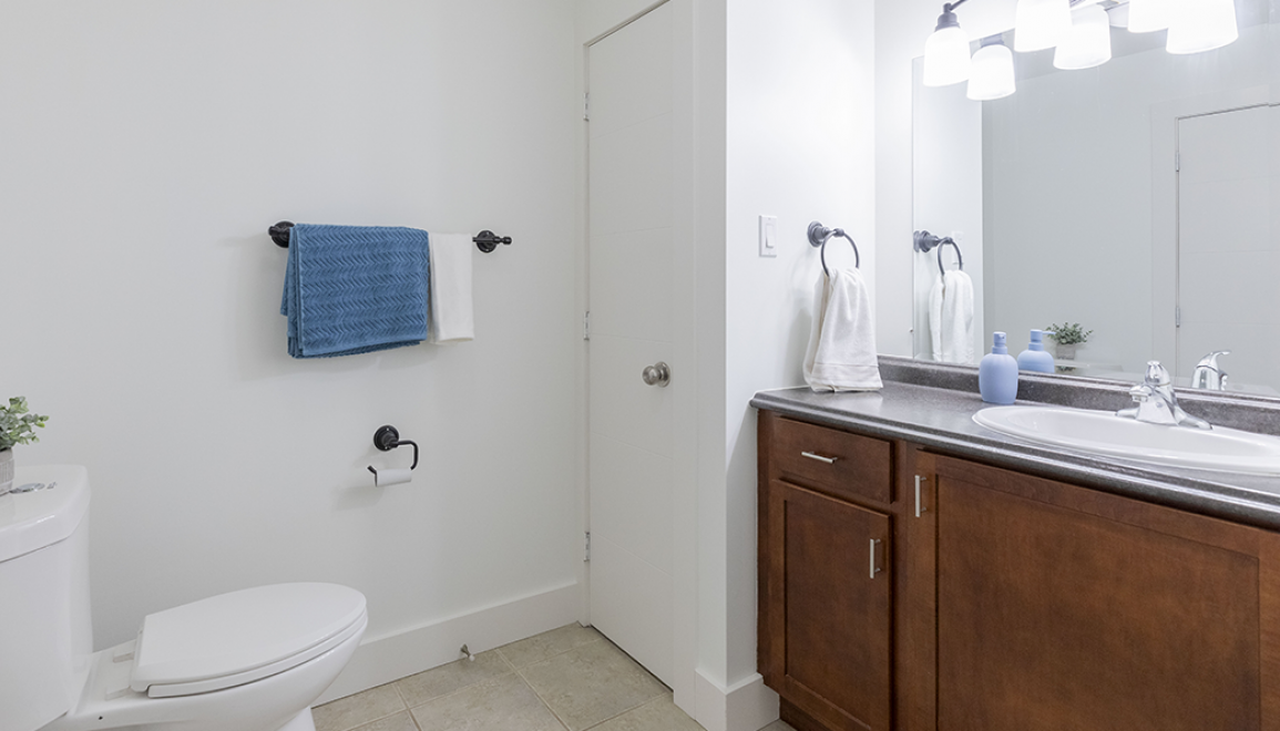 Blue Cedars Bathroom Sink