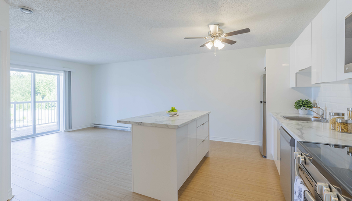 Blue Rock Estates Apartment Kitchen & Living Space