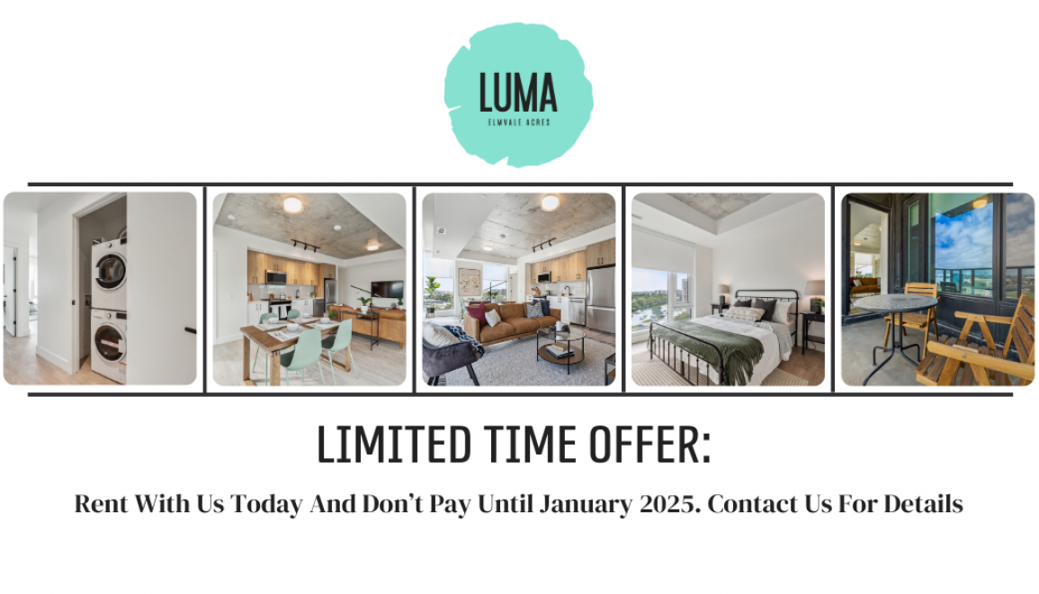 Luma Web Offer - Don't Pay Until Jan 2025