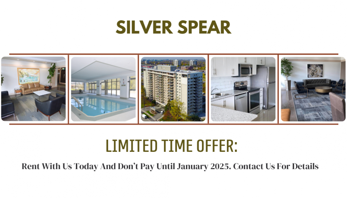 Silver Spear Web Offer - Don't Pay Until Jan 2025