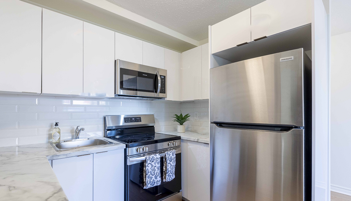 Woodward Gardens Renovated Kitchen