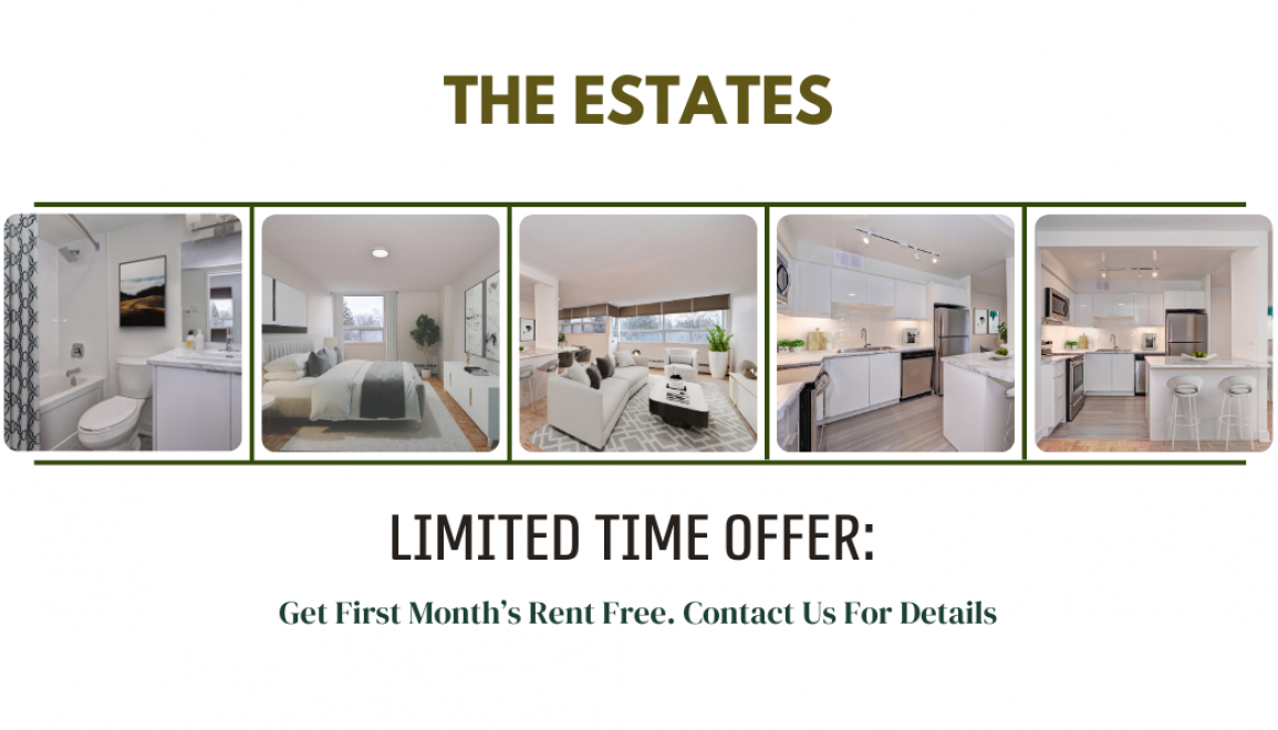 ***Limited Time Offer:  Your First Month Rent Free! Contact Us For Details.***