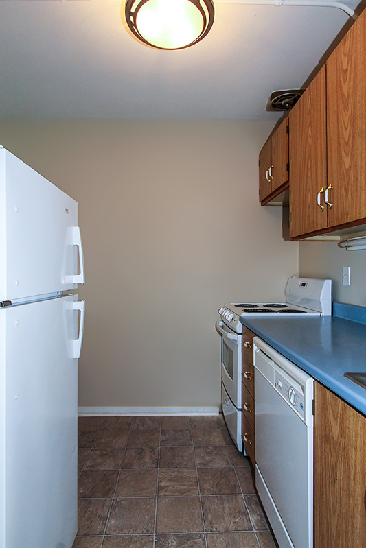 Meadowland Manor Kitchen Image