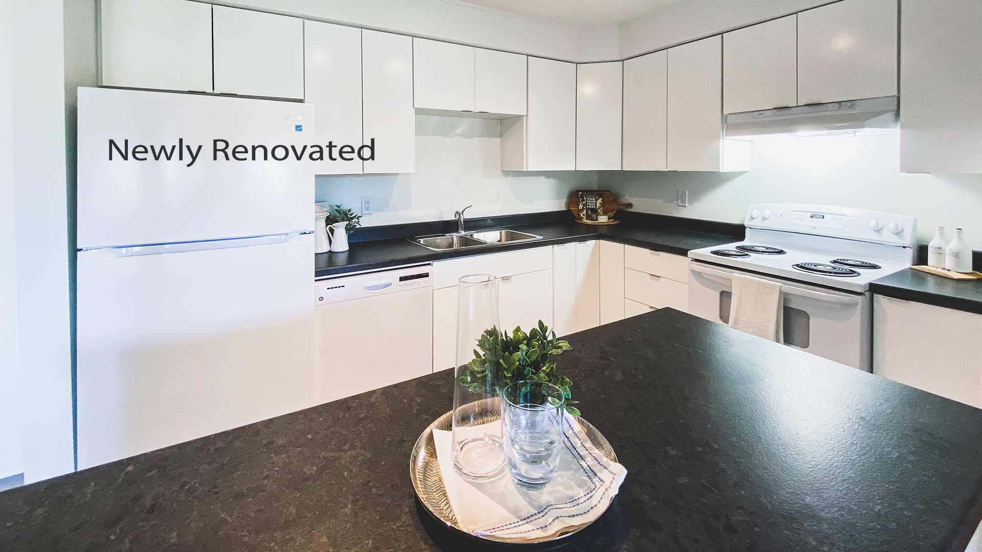 170 Torbay Road Apartments Renovated Kitchen Image
