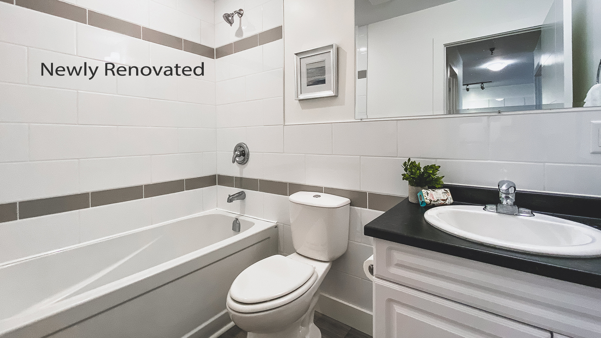 Rutledge Manor Newly Renovated Bathroom Image