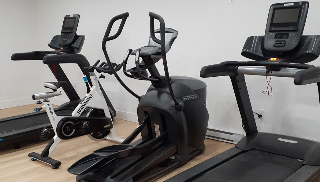 Forest Manor Gym Equipment