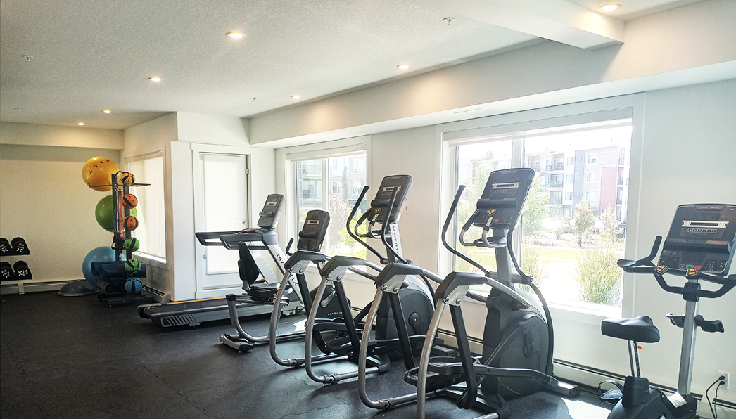 Nolan Gym