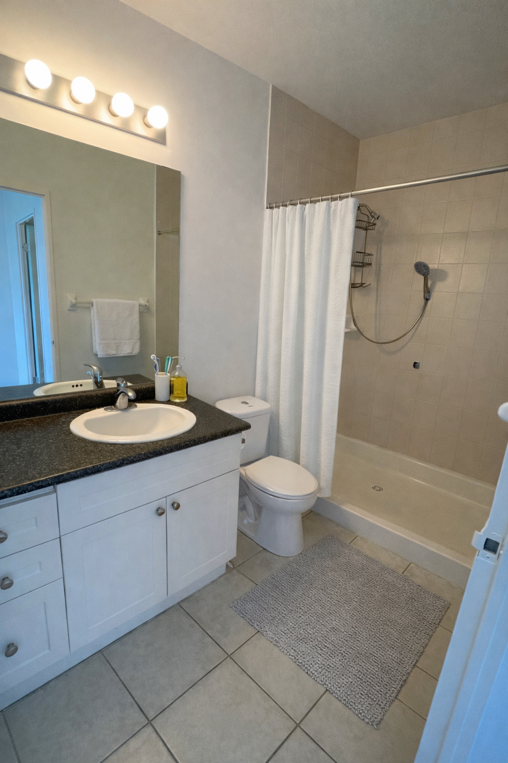 Richmond Hill Apartments Bathroom Rendering