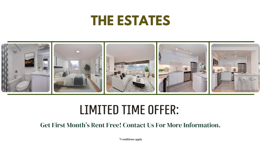 *Limited-Time Offer: Move In Today and Get First Month Rent-Free!*