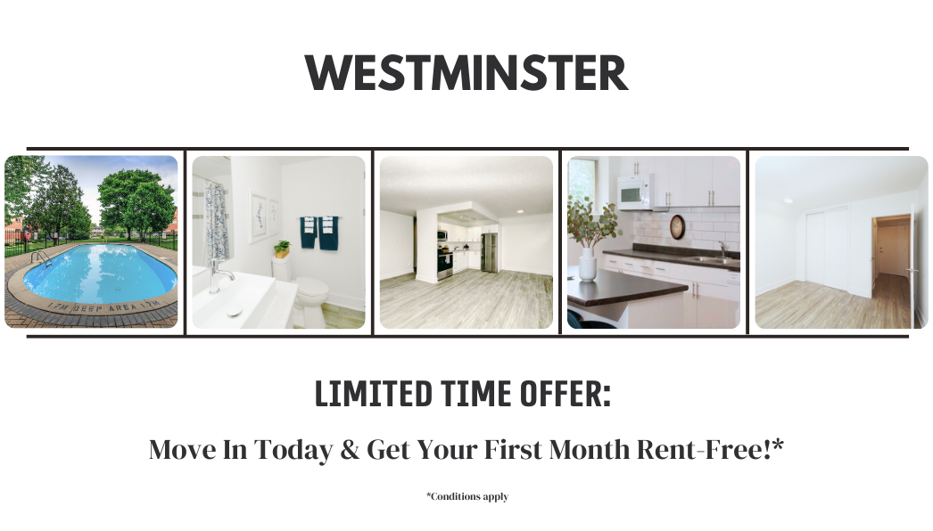 **Limited-Time Offer: Move In Today & Get Your First Month Rent-Free! Contact Us For Details.**