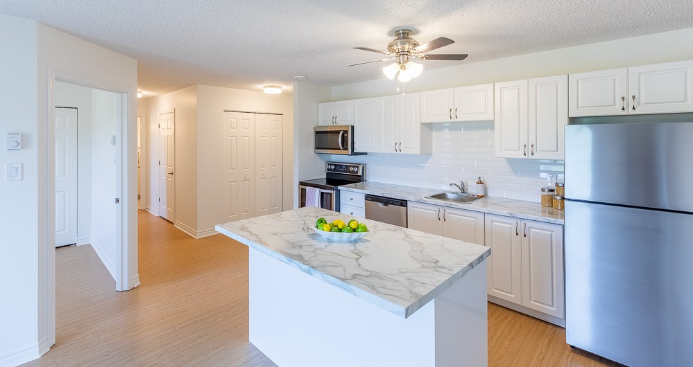 Blue Rock Estates Apartment Kitchen