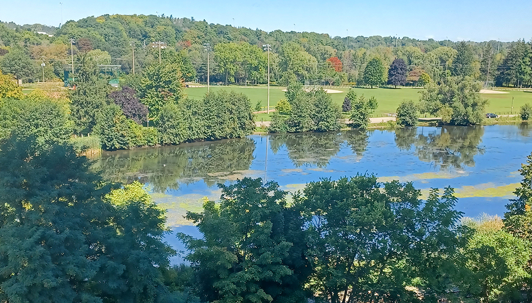 Rivers Edge View