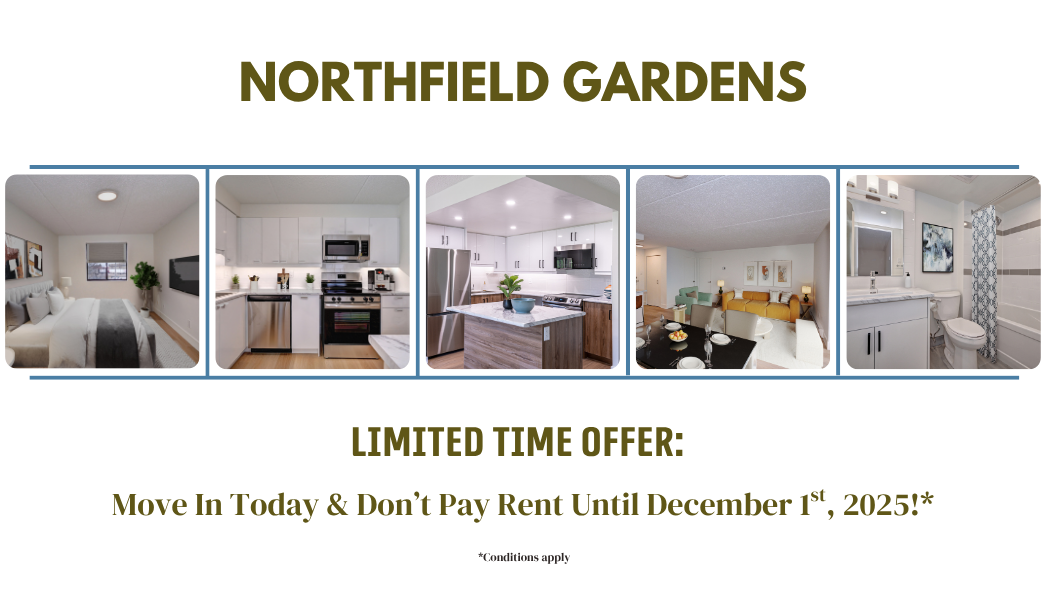 Limited-Time Offer: Move In Today & Don't Pay Rent Until December 1st, 2025! 