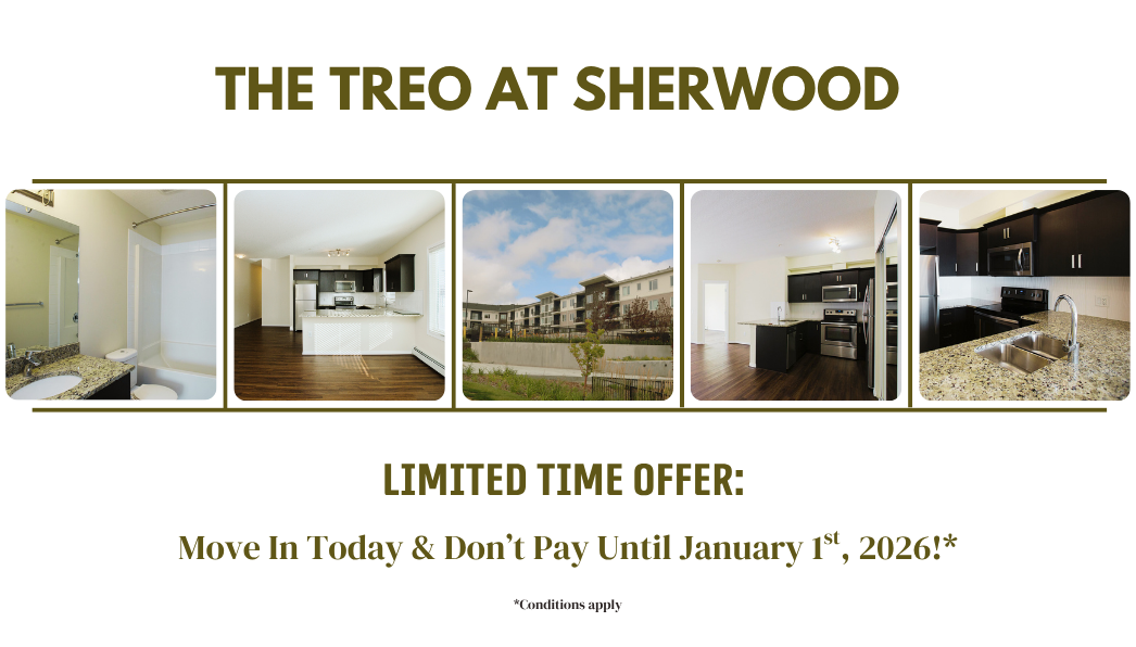Limited-Time Offer: Move In Today & Don't Pay Until January 1st, 2026!