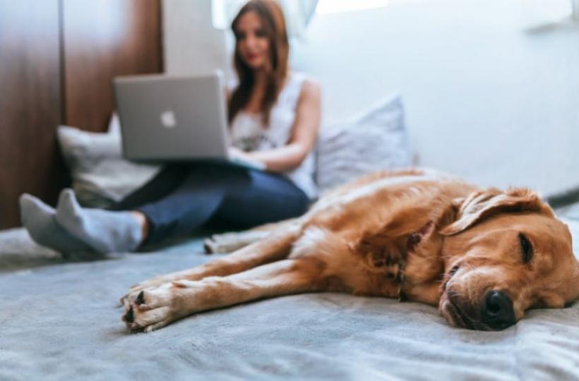 Personal With Dog on bed