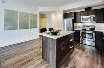 Link Apartments at Ellerslie Kitchen and Living Room Image