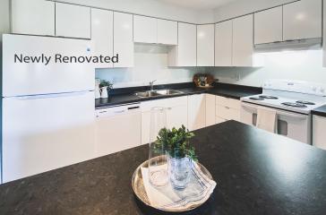170 Torbay Road Apartments Renovated Kitchen Image