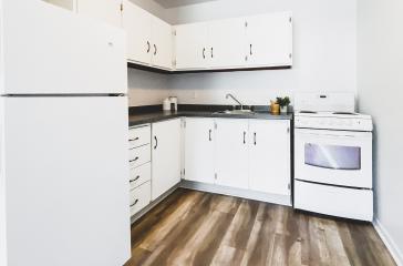 Forest Manor Apartments Kitchen Closeup Image