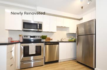 Sheradon Renovated Kitchen
