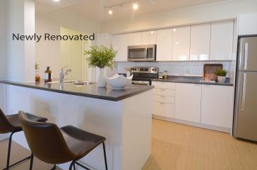 Waterview Apartments Newly Renovated Kitchen Image