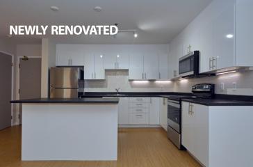 5206 Tobin Street Kitchen Image