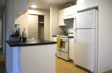 23 Glen Moir Renovated Kitchen