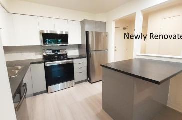 50 Barkton Apartments Renovated Kitchen