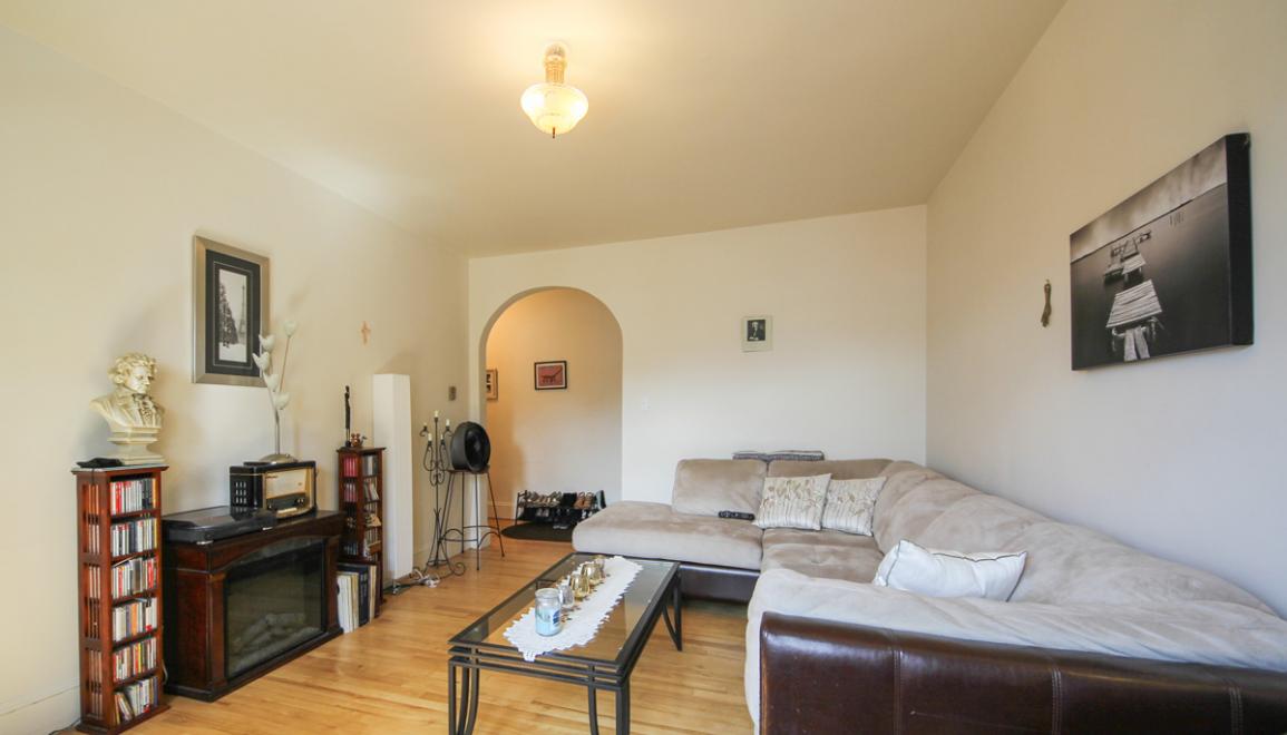 Lutz Street Apartments Living Room Image 2