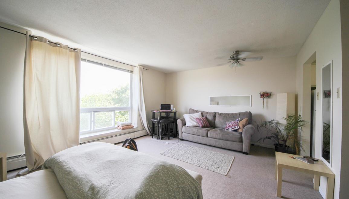 Princess Place Living Room & Bedroom Image
