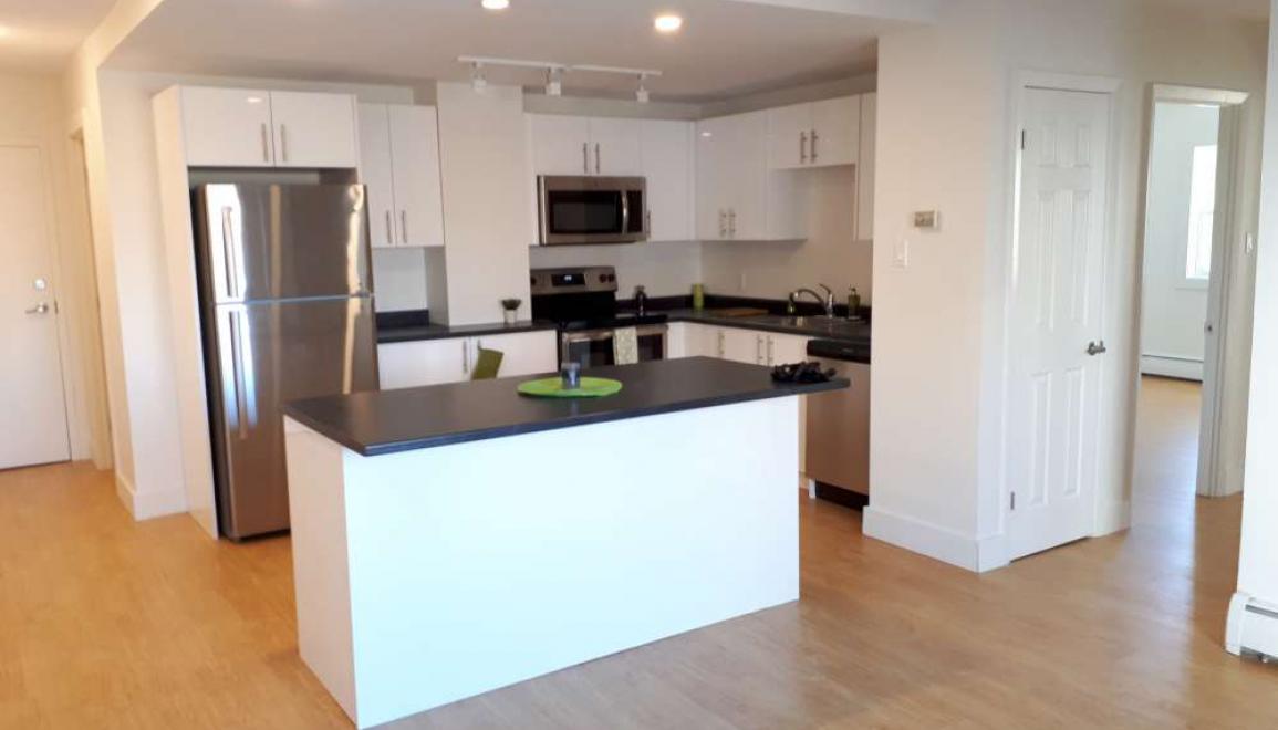 Carleton Towers Kitchen & Living Room Image