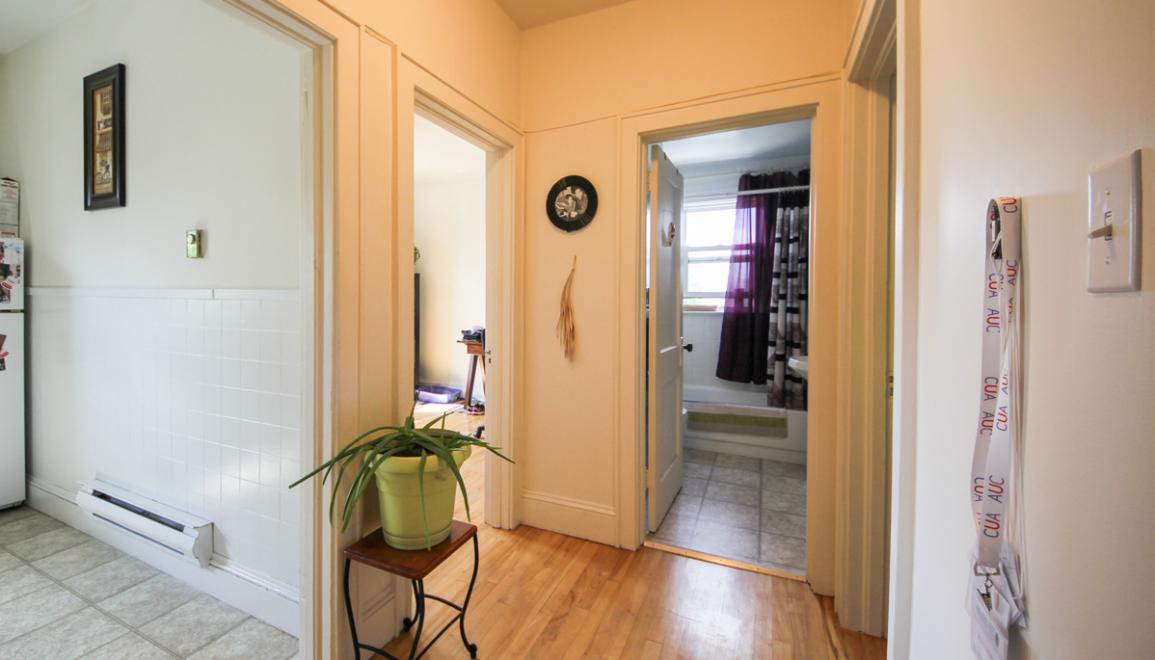 Lutz Street Apartments Hallway Image