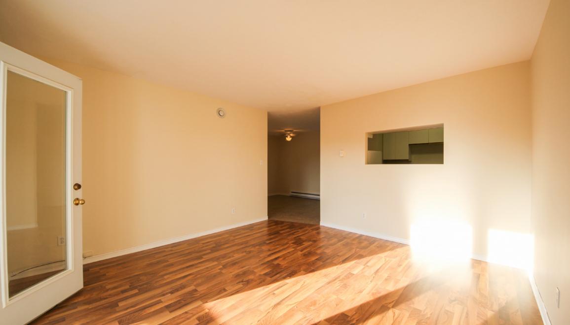 260 Wetmore Road Apartments Living Room 2 Image