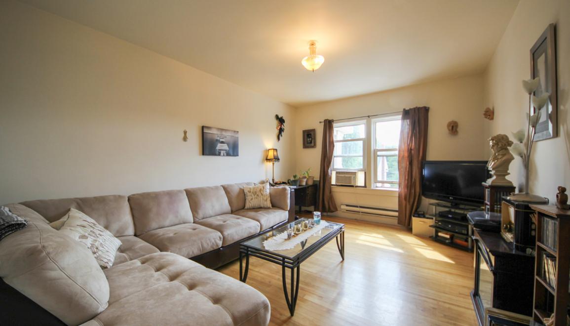 Lutz Street Apartments Living Room Image