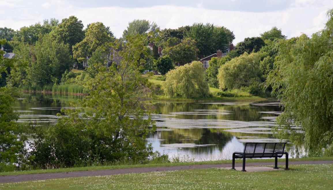 Lakeview Estates Scenery View Image