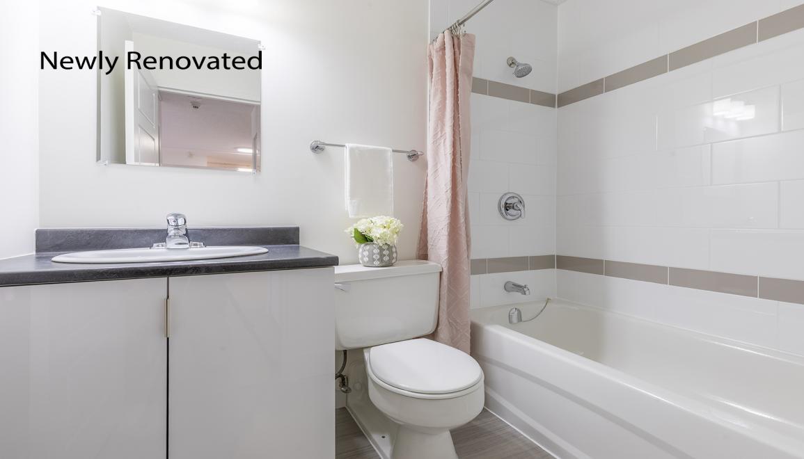 Forest Hills Renovated Bathroom Image