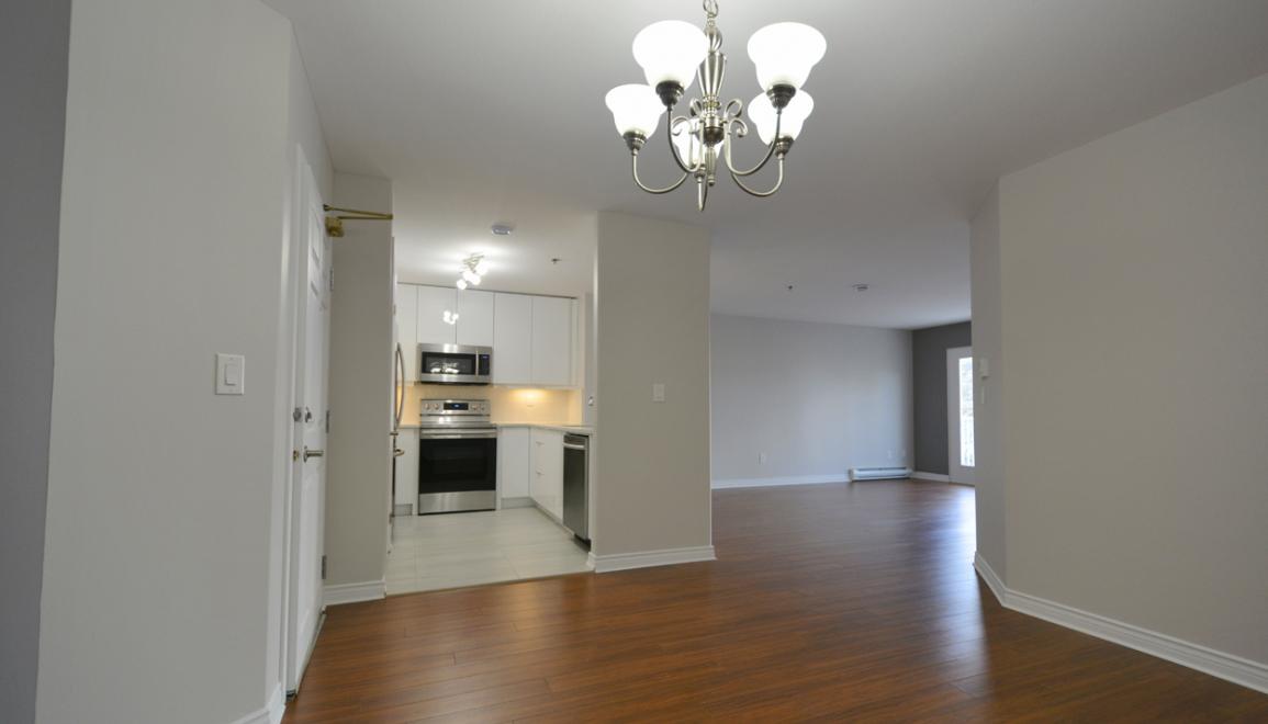 Cambridge Place Kitchen Image 3
