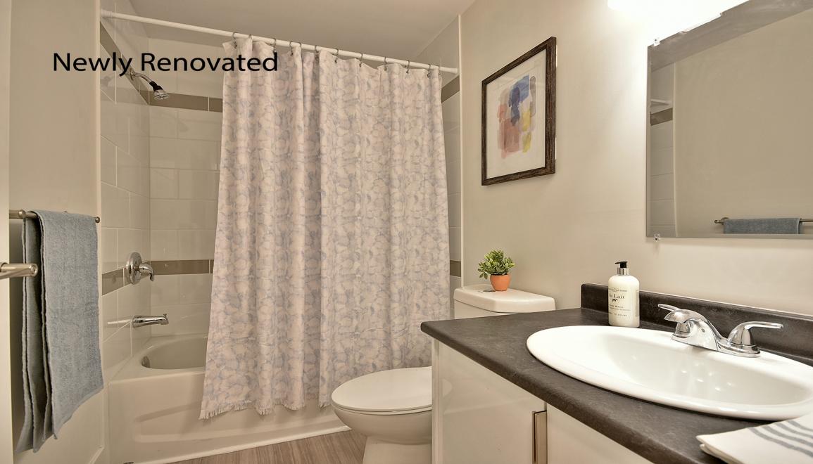 Elroy Apartments Bathroom Image