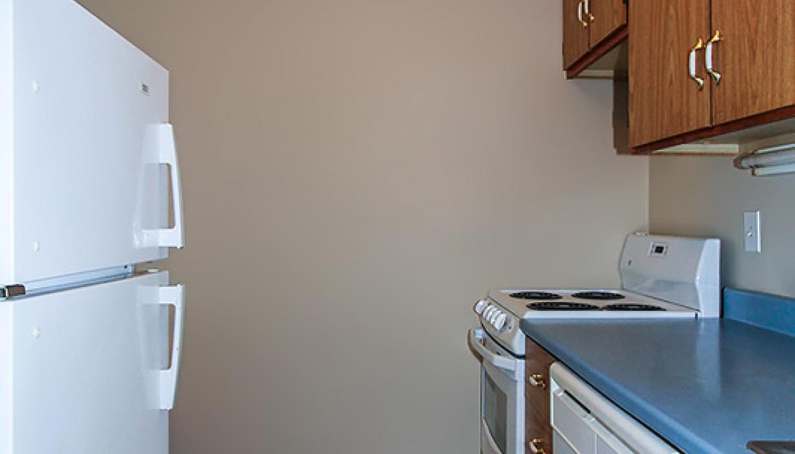 Meadowland Manor Kitchen Image