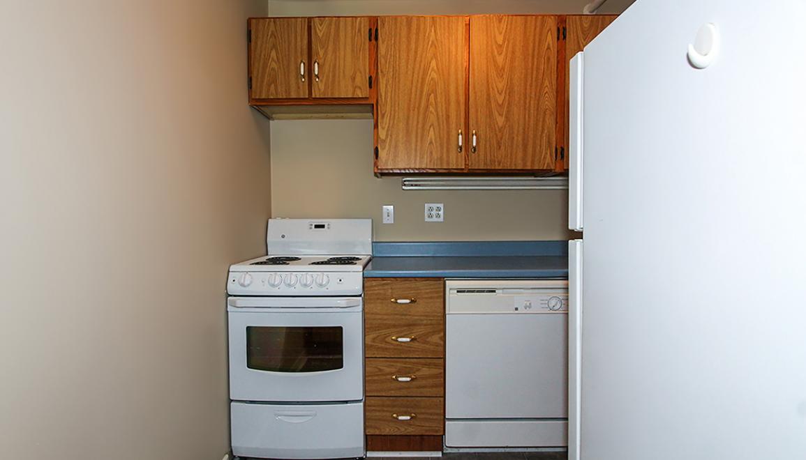 Meadowland Manor Kitchen 2 Image