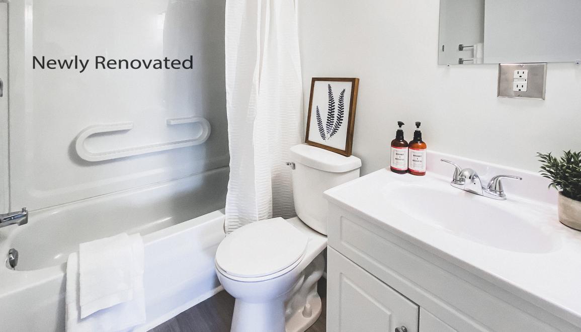 170 Torbay Road Apartments Renovated Bathroom Image