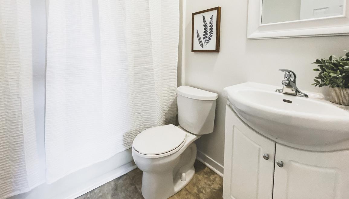 107 Torbay Road Apartments Bathroom Image