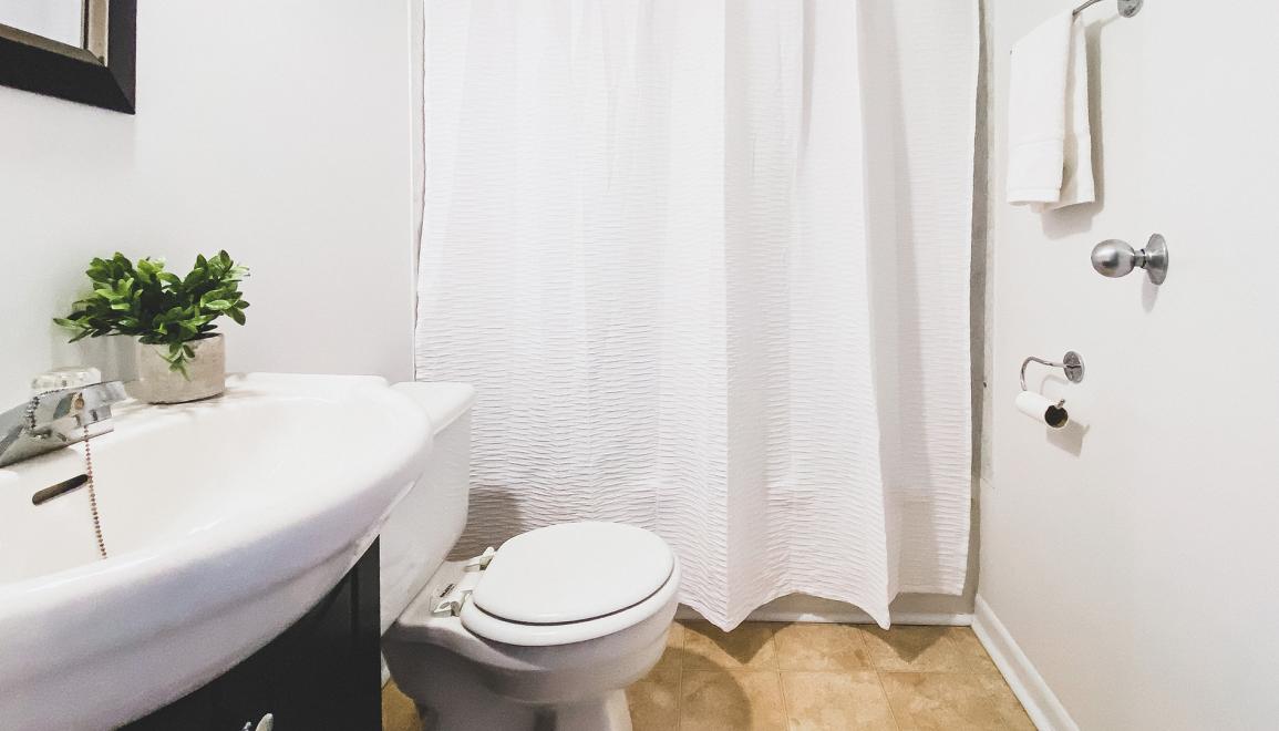 Forest Manor Apartments Bathroom Image