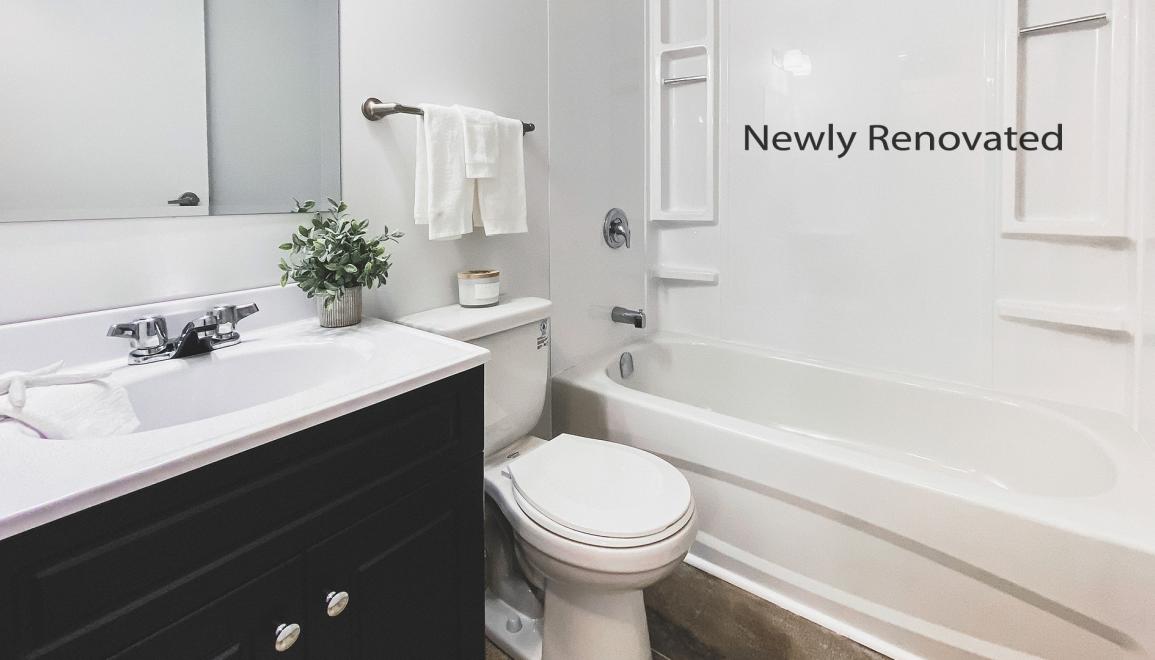 Meadowland Manor Apartments Newly Renovated Bathroom Image